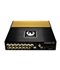 Phoenix Gold ZQDSP12 wysokiej klasy 12-kanałowy procesor DSP